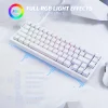 S56af558516174255bc4235d2e4ea7975v.webp
