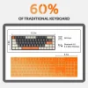 S85db202564fa42eda8c38c458f6977e7O.webp